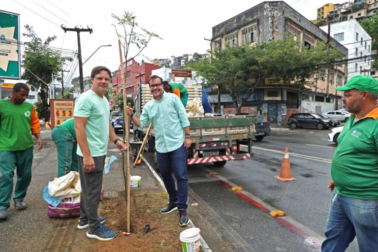 Avenida Jequitaia: Prefeitura promove plantio em combate ao vandalismo contra mudas